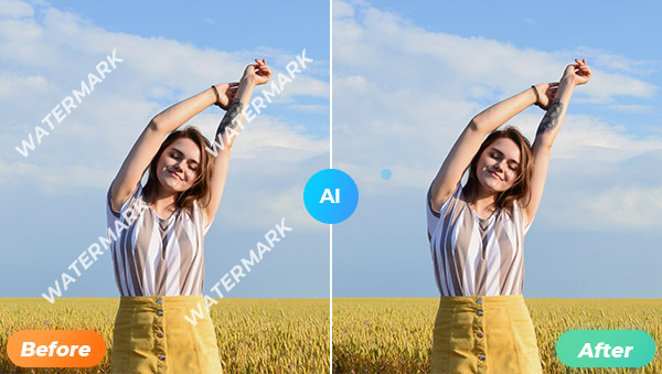 Text & Watermark Removal